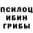 Псилоцибиновые грибы Psilocybe Aleksey Shk1