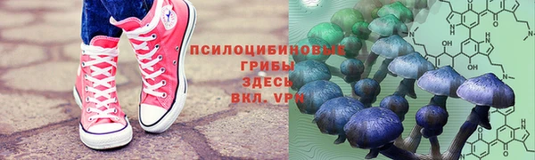 спайс Балахна